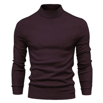 Turtleneck Pullover Knit Sweater